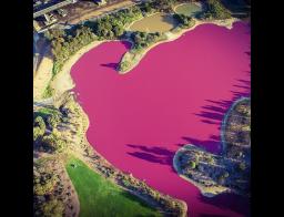 Images from our Zero-X fans!