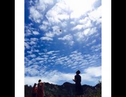 Images from our Zero-X fans!