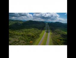 Images from our Zero-X fans!